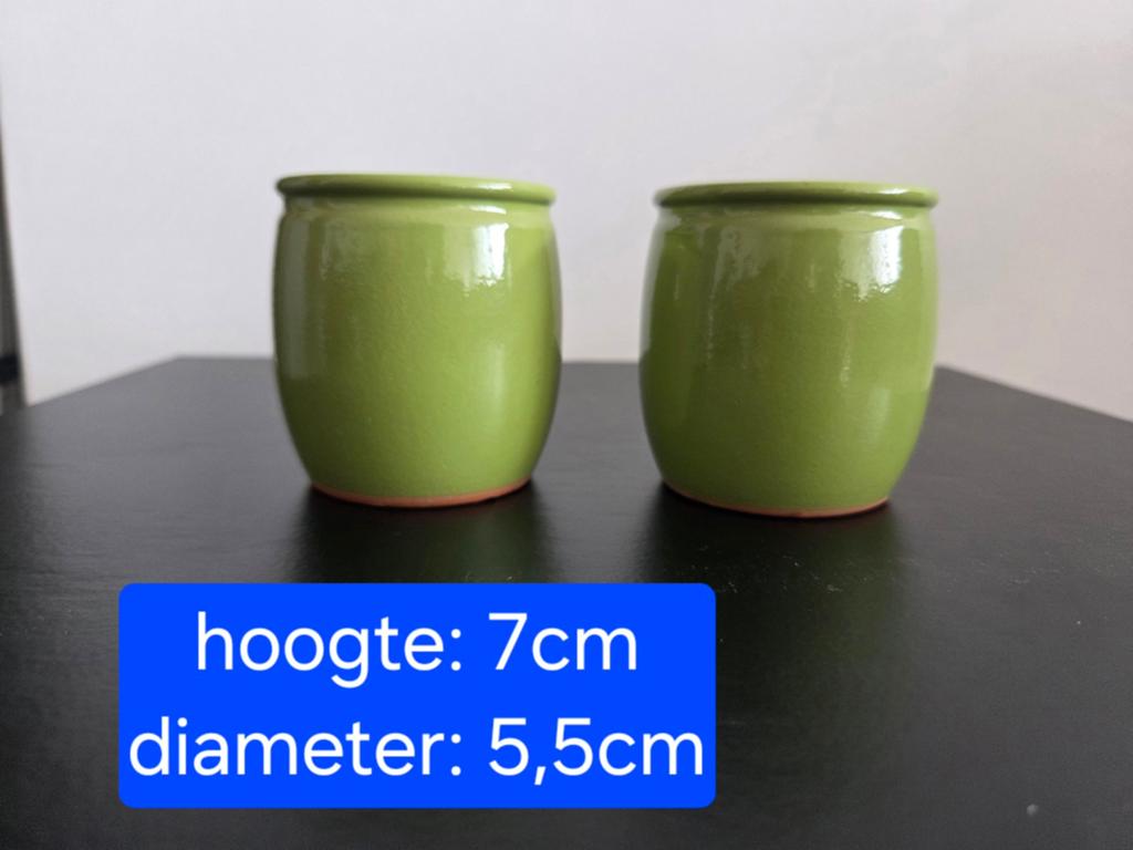 2 kleine groene bloempotjes, Enlèvement