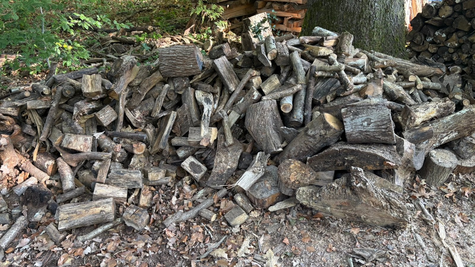 Bois en vrac, Enlèvement, Chêne, Bûches