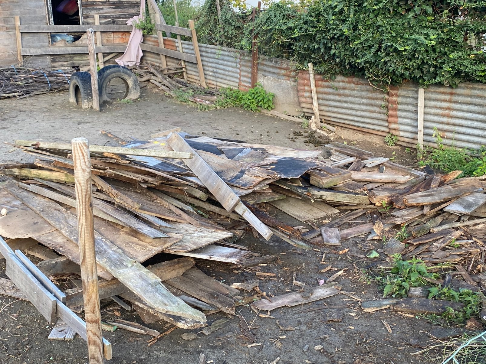 Brandhout gratis, Jardin & Terrasse, Bois de chauffage, Enlèvement