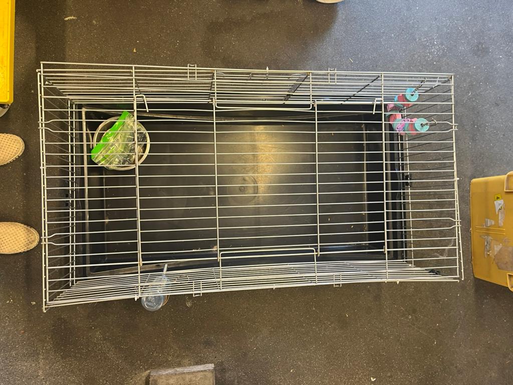 Kooi konijn/cavia, Dieren en Toebehoren, Ophalen, Zo goed als nieuw, Kooi, Cavia