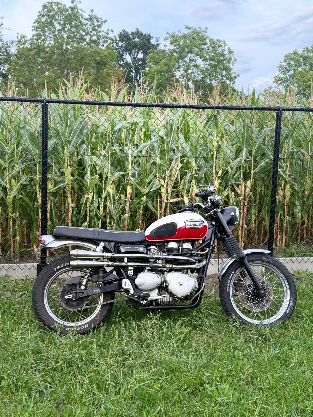 Triumph scrambler 900, Motoren, Particulier