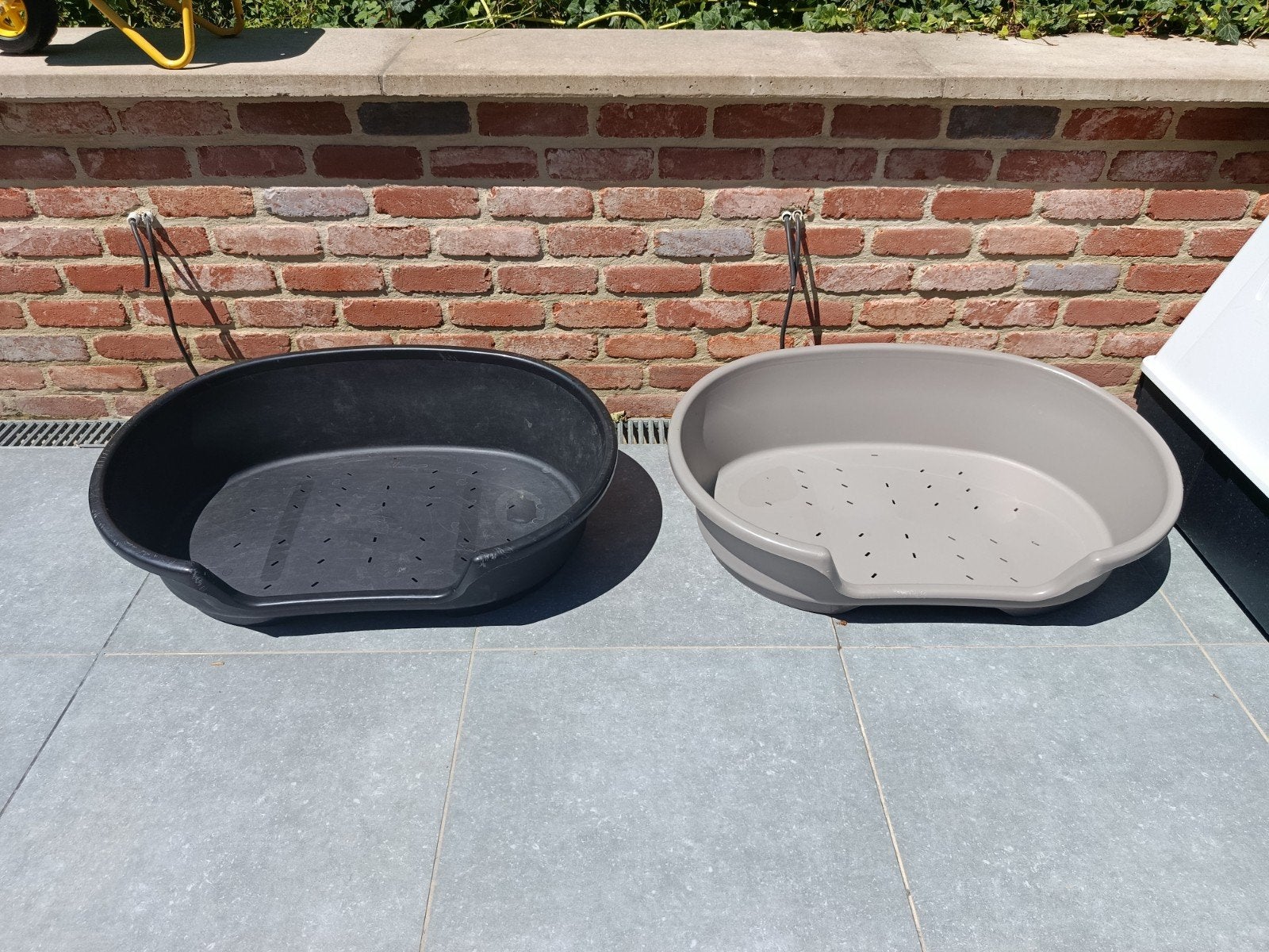 Panier pour chien., Enlèvement