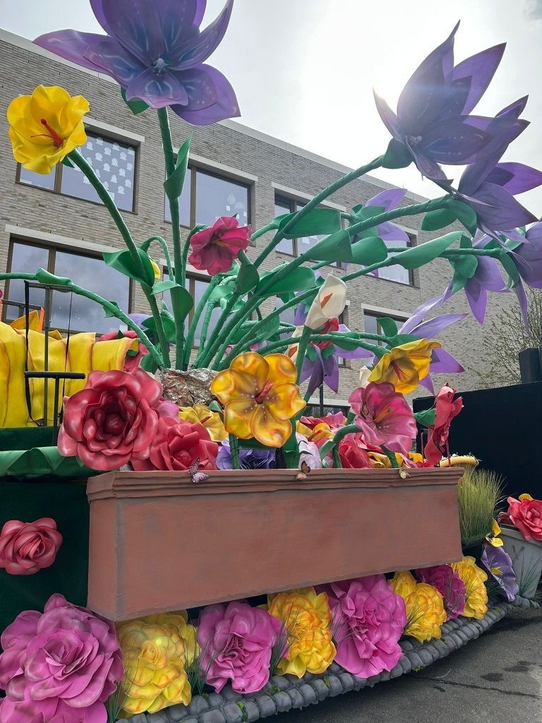Carnavalswagen, Ophalen, Gebruikt, Feestartikel
