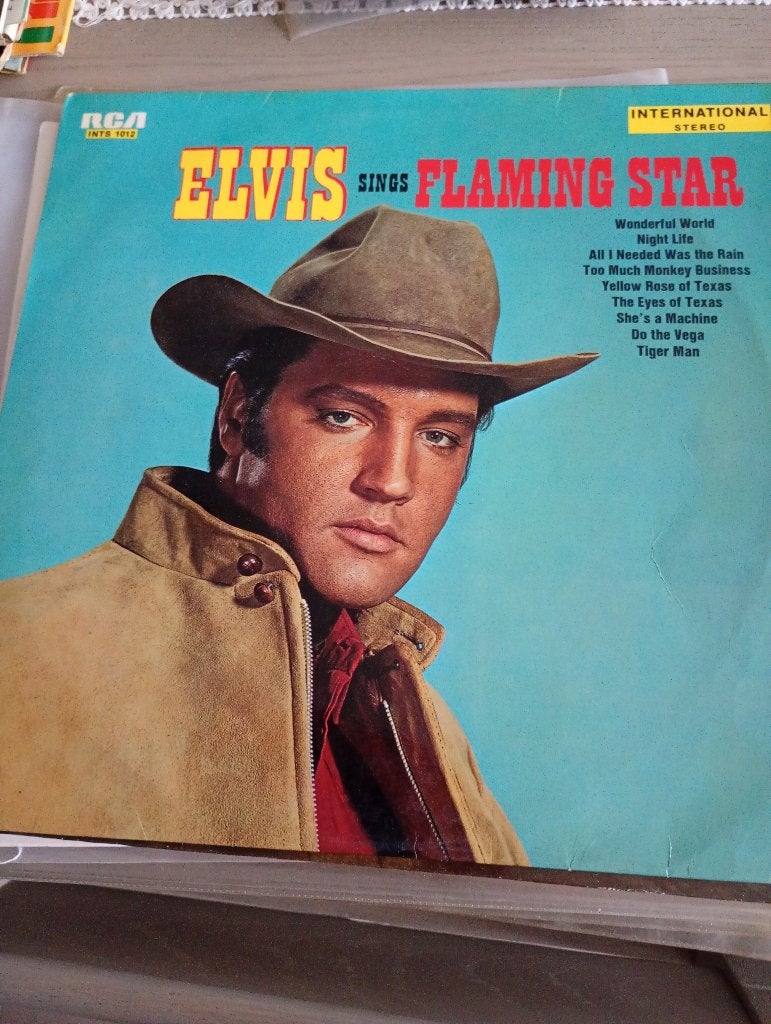 Elvis Presley - Flaming star, Pochette photo, Utilisé, Pop, Envoi