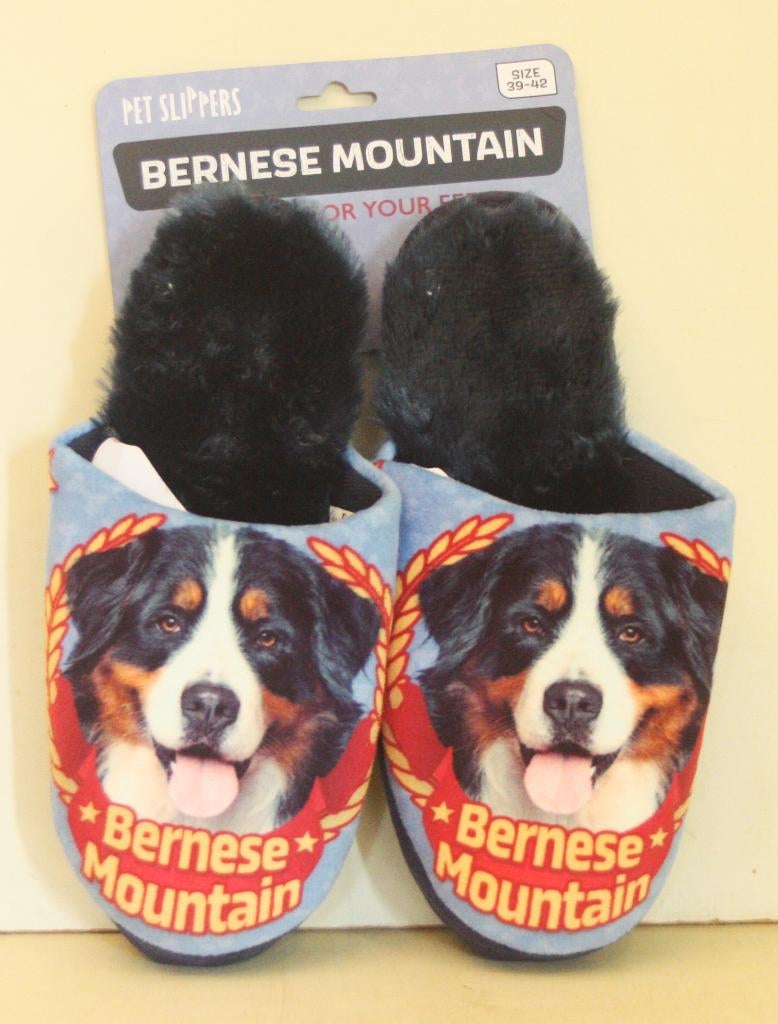 Pantoffels / Pet Slippers Berner Sennen / Maat 39-42 / Nieuw, Ophalen of Verzenden, Nieuw, Overige kleuren, Slippers