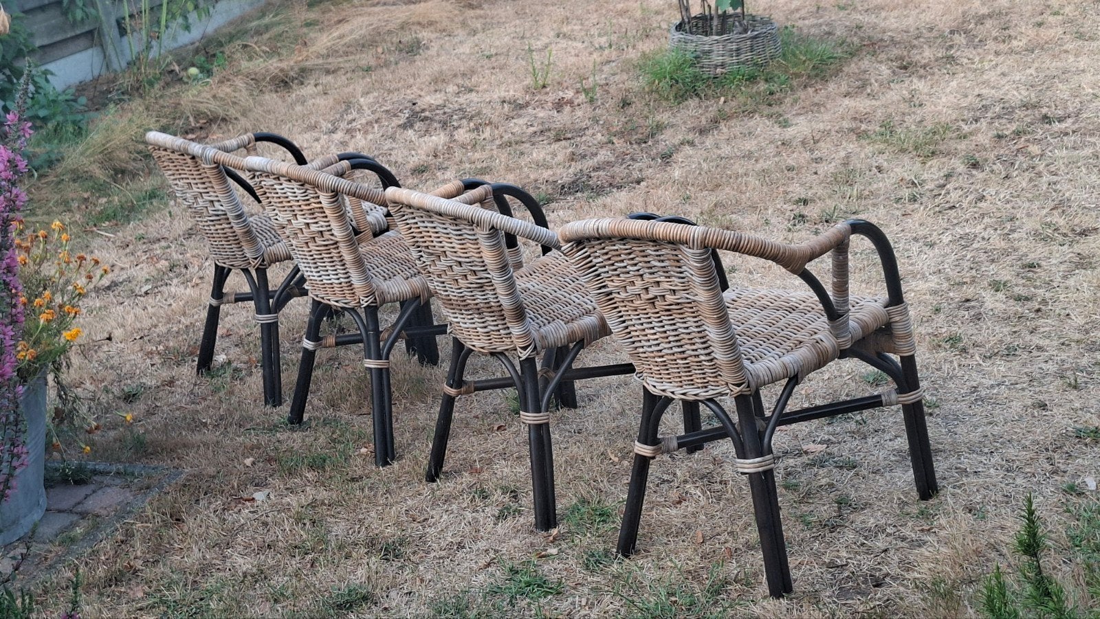 4 nieuwe rieten stoelen, Ophalen, Overige kleuren, Nieuw, Riet of Rotan