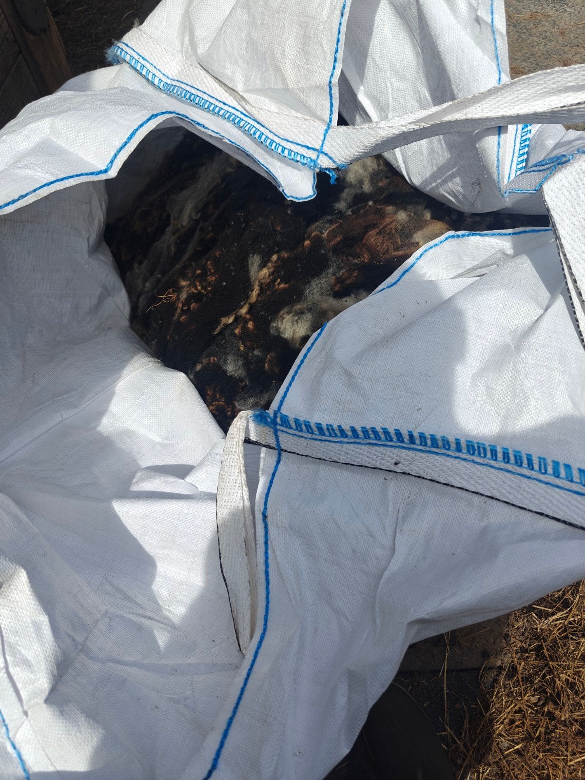 Wol van 7 schapen baggerbond. Gratis ophalen