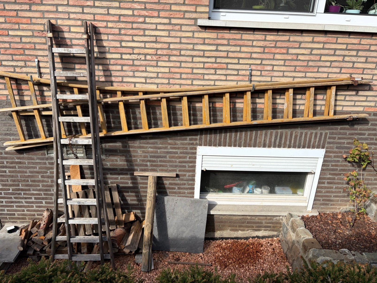Gratis Houten ladders 2 delig, 2x2,5m en 2x3,5m lang, Pliable ou rétractable/escamotable, Comme neuf, Échelle, Enlèvement