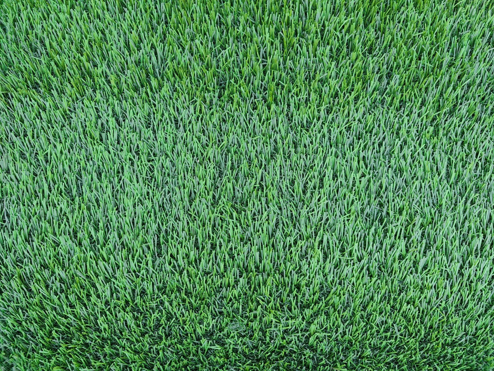 Gazon artificiel, Jardin & Terrasse, Gazon & Gazon artificiel, Enlèvement, Gazon artificiel