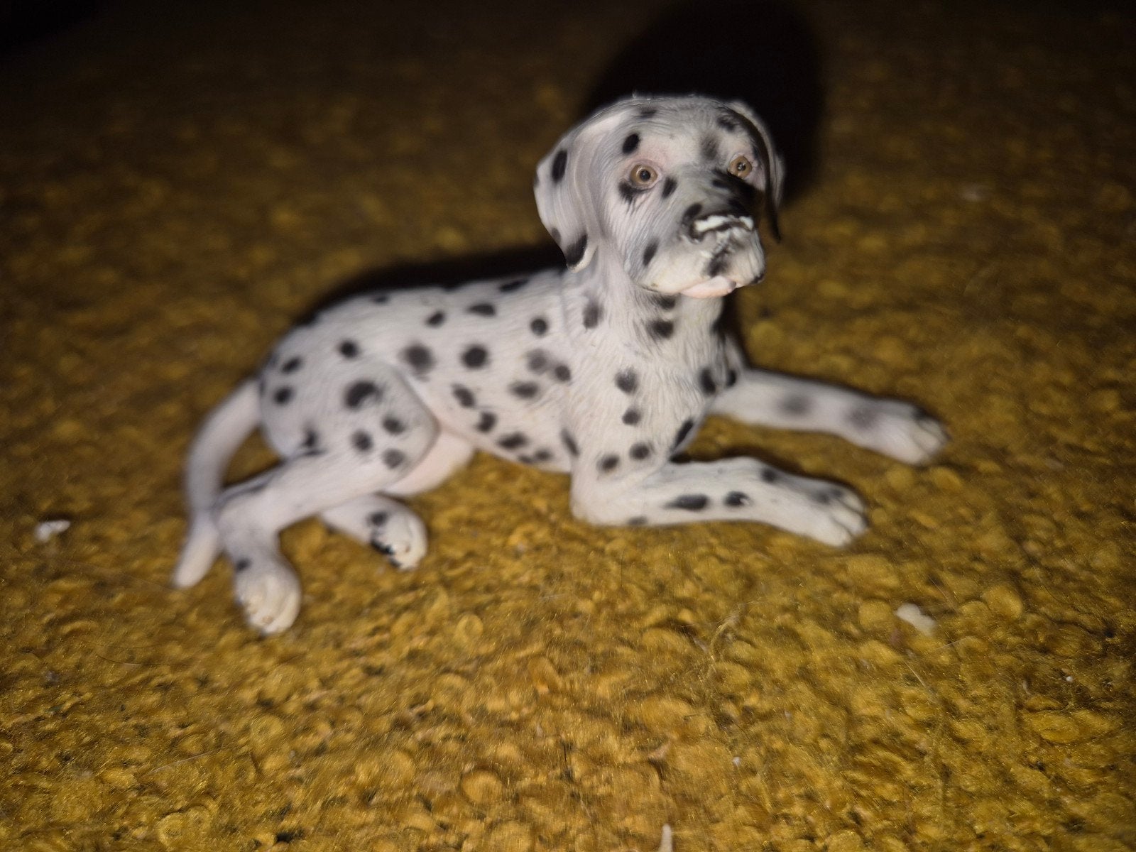 schleich dalmatiër, Collections, Envoi