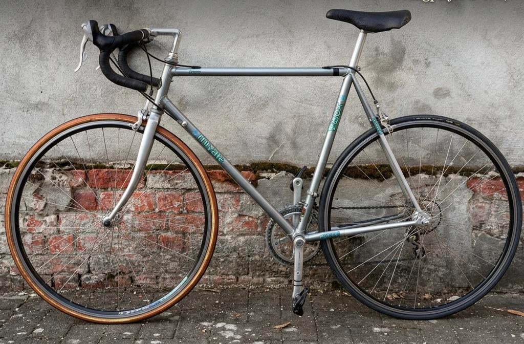 Te Koop: Koga Miyata Pro Class, Enlèvement ou Envoi, Comme neuf, Acier, Koga Miyata