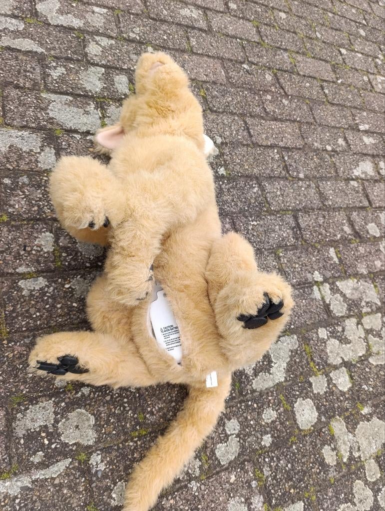 Gratis, Enlèvement, Chien