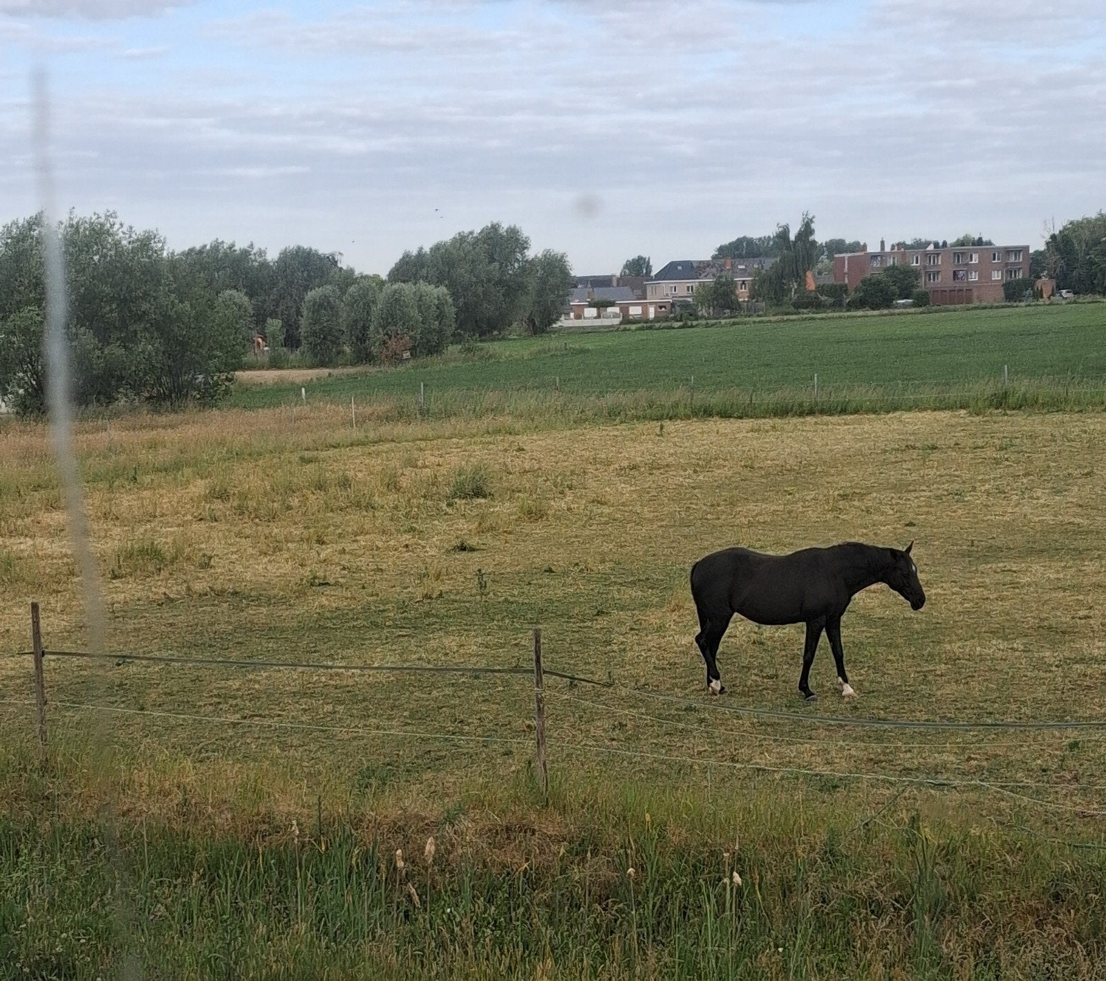 mooie Belle Etage met zicht op weide's