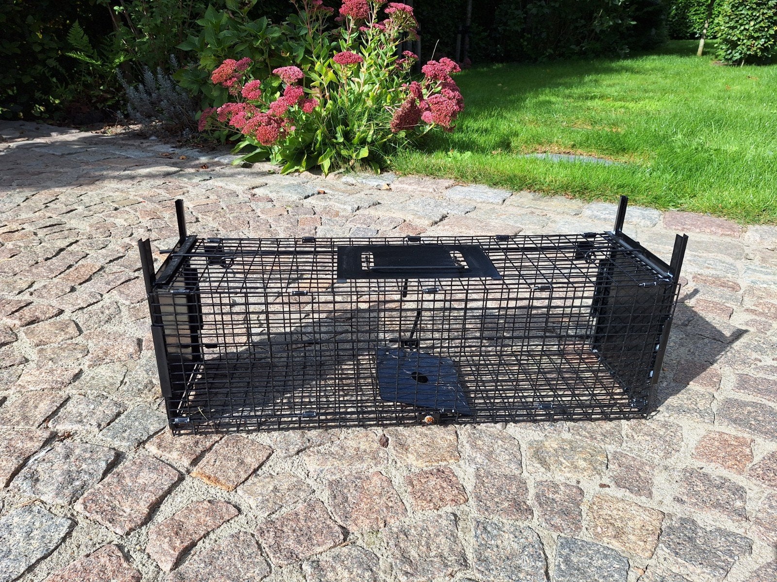 Vangkooi-Inloopkooi, Ophalen, Nieuw, Hamster