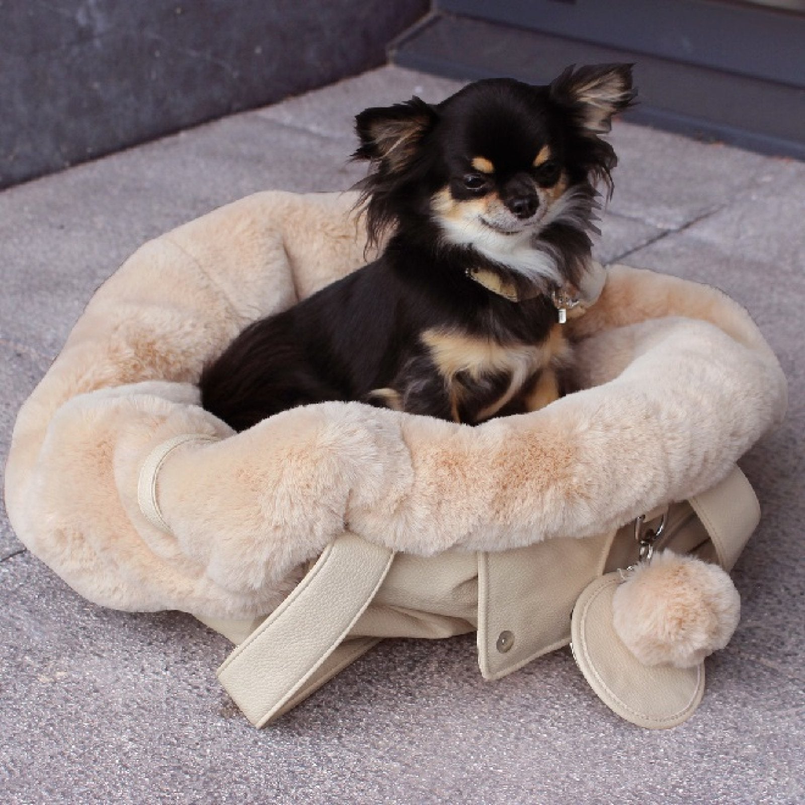Luxe hondentas / mand in 1, Animaux & Accessoires, Accessoires pour chiens, Neuf, Enlèvement