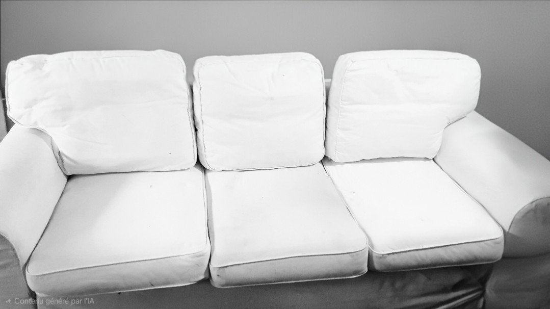 DIVAN LIT - 3 personnes, 220 cm, 90 cm
