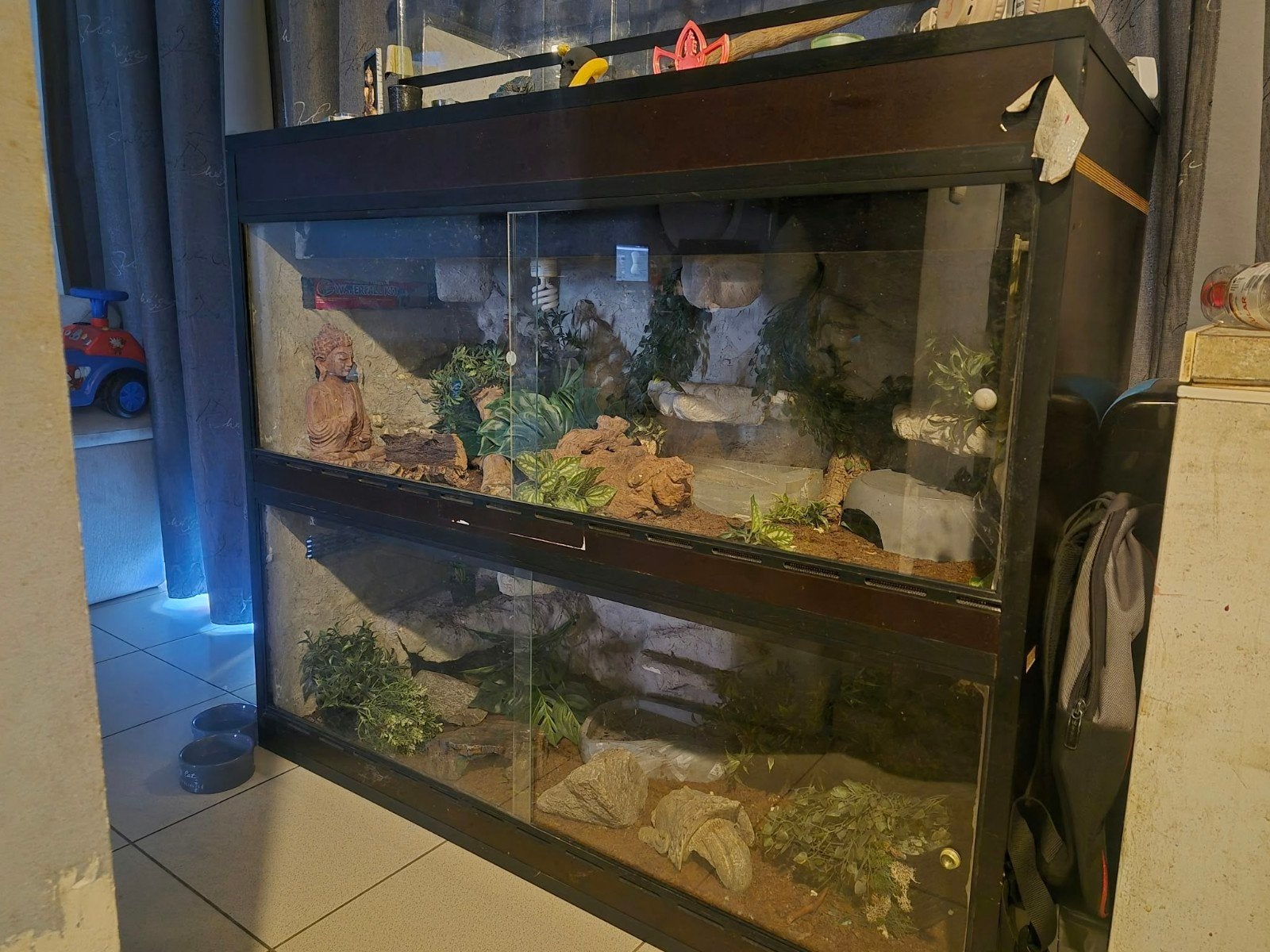 reptielbakken, Dieren en Toebehoren, Ophalen