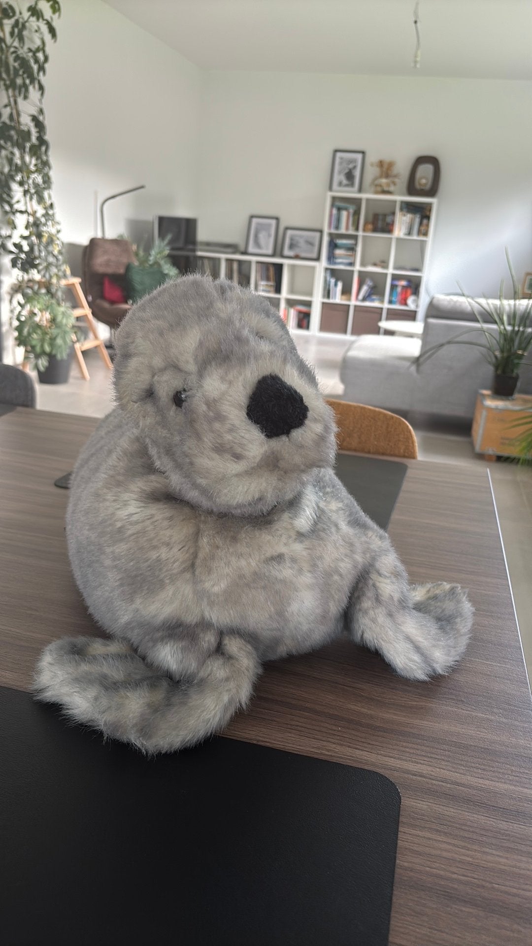 Zeehond 70cm, Ophalen, Gebruikt, Overige typen, Middelgroot (20 tot 80 cm)