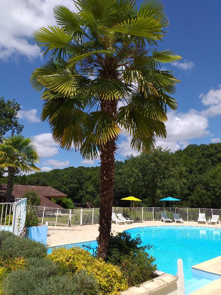 Location Chalets tout confort - 40km de Cahors, Vacances, Propriétaire, Campagne, Animaux domestiques acceptés, Chalet, Bungalow ou Caravane
