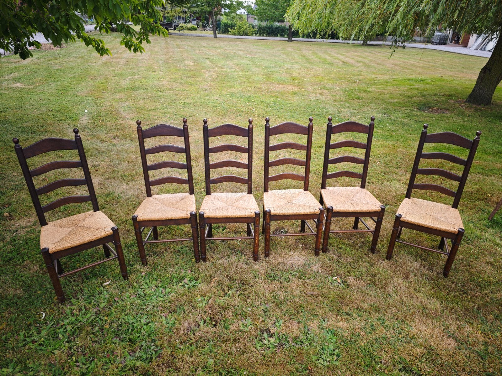 Lot de 6 chaises bois-rotin, Brun, Bois, Enlèvement, Bois Rotin