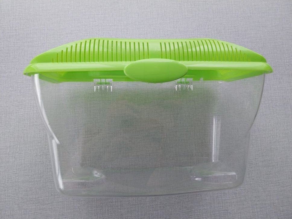 Kist voor wandelende takken, Animaux & Accessoires, Rongeurs & Lapins | Accessoires, Enlèvement