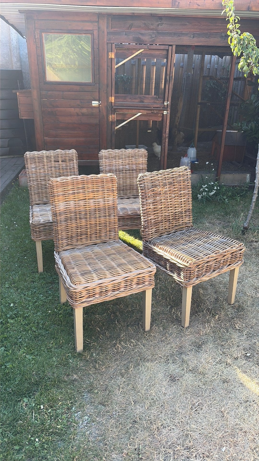 Rotan stoelen, Tuin en Terras, Tuinstoelen, Ophalen, Zo goed als nieuw, Rotan