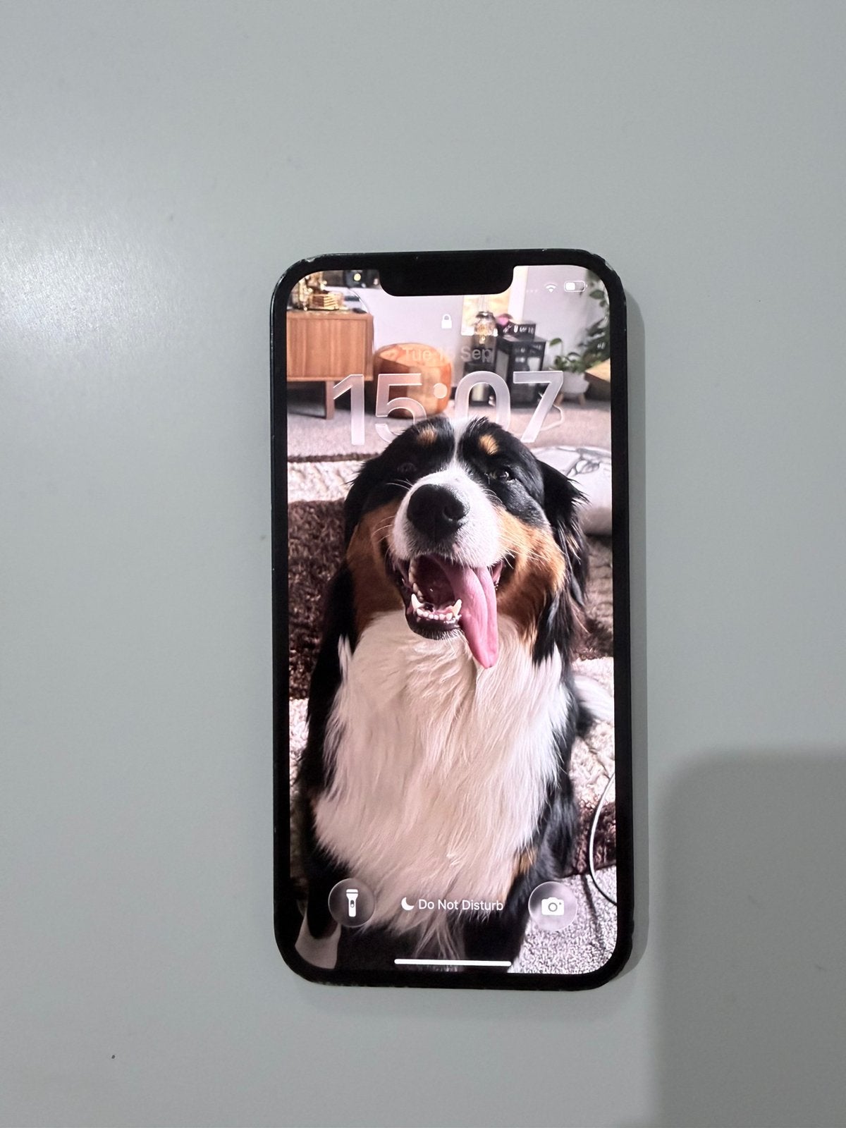 IPHONE 13, Télécoms, IPhone 13, Enlèvement ou Envoi, Utilisé, Apple