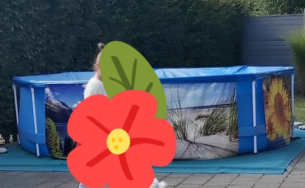 Piscine, Jardin & Terrasse, Enlèvement, Utilisé, Couverture de piscine