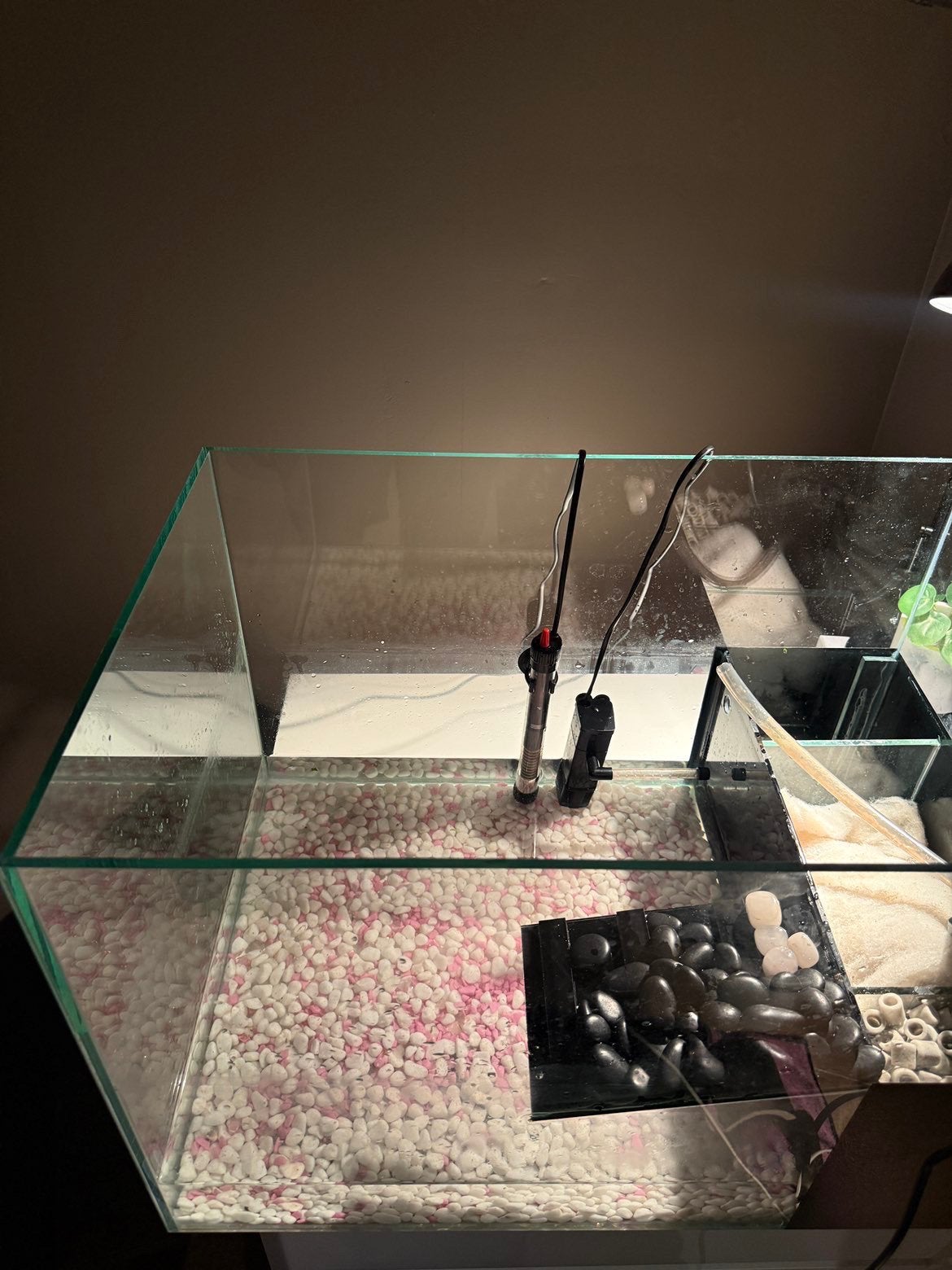Aquarium voor shildpad, Enlèvement, Neuf