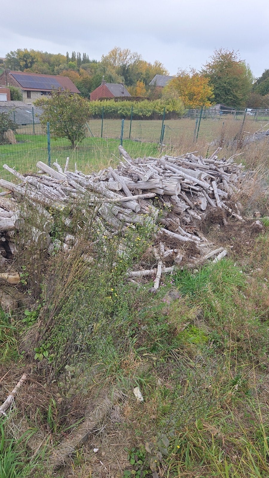Gedroogd Dennehout, Tuin en Terras, Brandhout, Minder dan 3 m³, Ophalen, Overige houtsoorten, Stammen