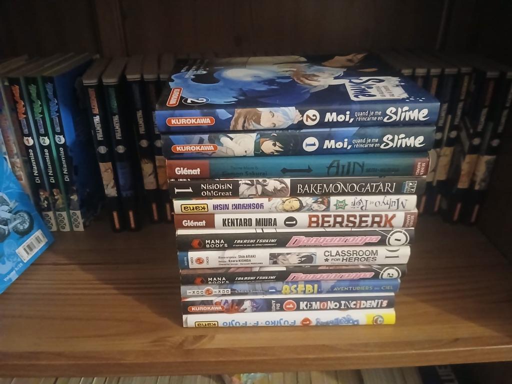 13 tomes de manga divers, Enlèvement