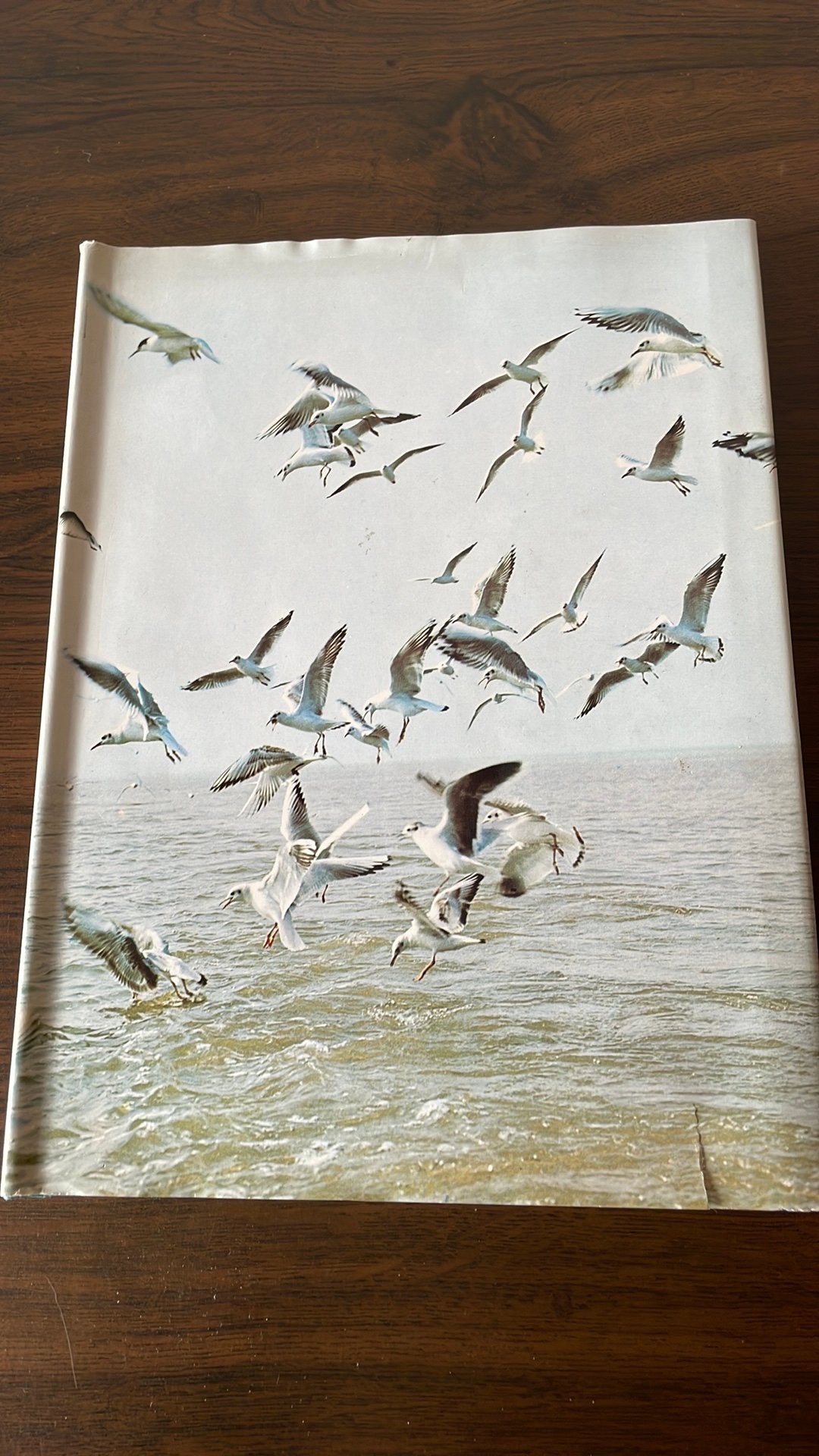Boek: Het Zwin, Ophalen, Gelezen, Natuur algemeen