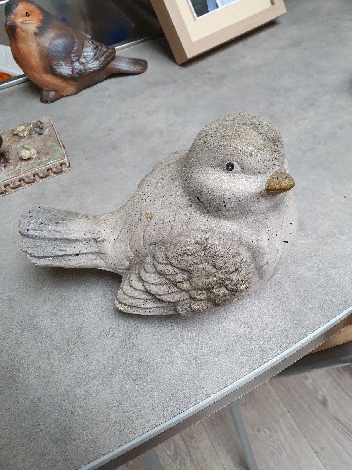 mooi grote duif, Ophalen of Verzenden