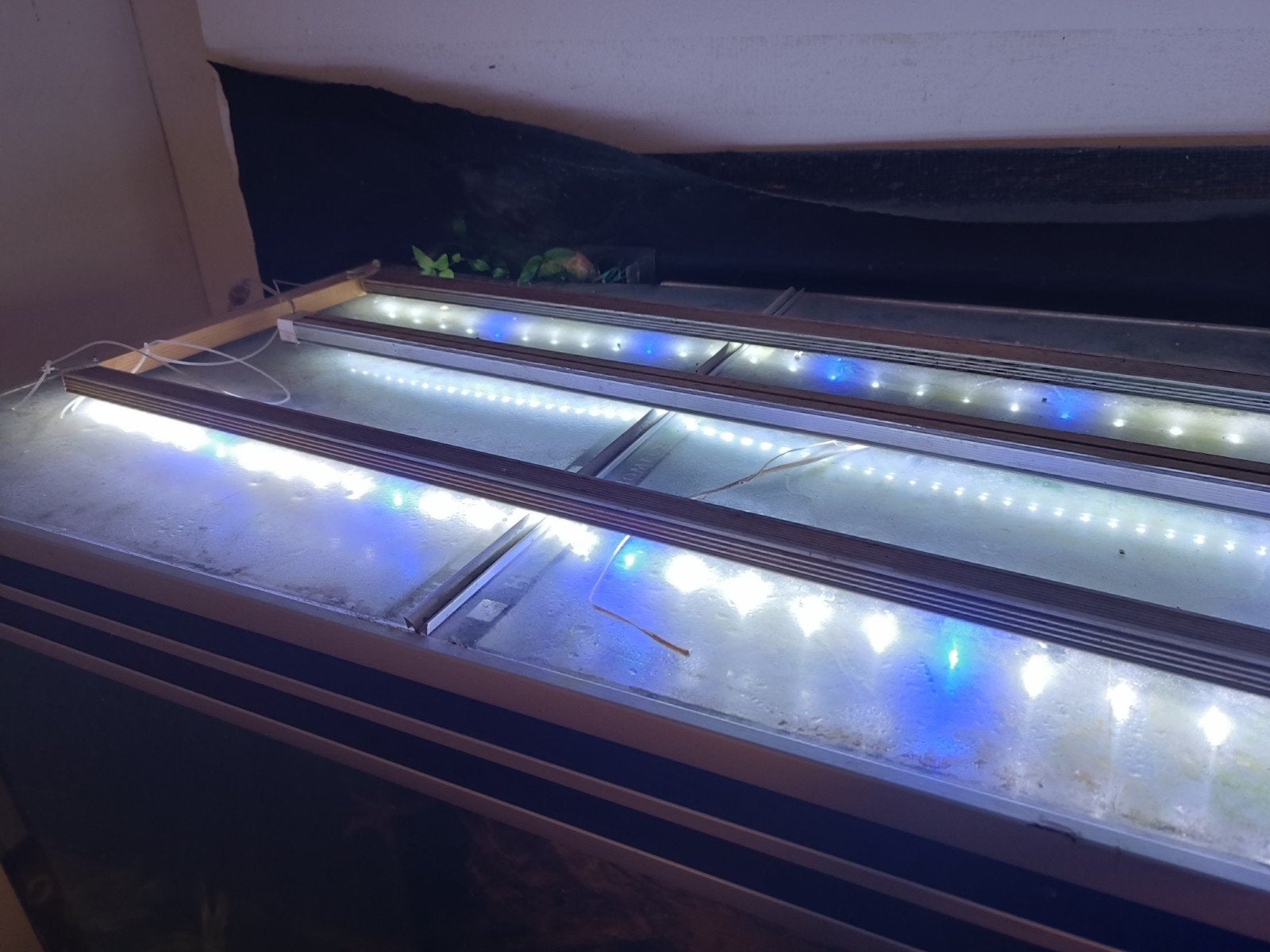 aquaLantis aquarium 2m 800+ liter., Dieren en Toebehoren, Ophalen, Gebruikt, Pomp, Aquatlantis