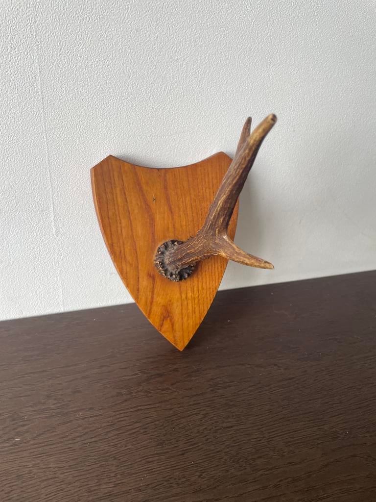 Vintage gewei, Enlèvement, Comme neuf