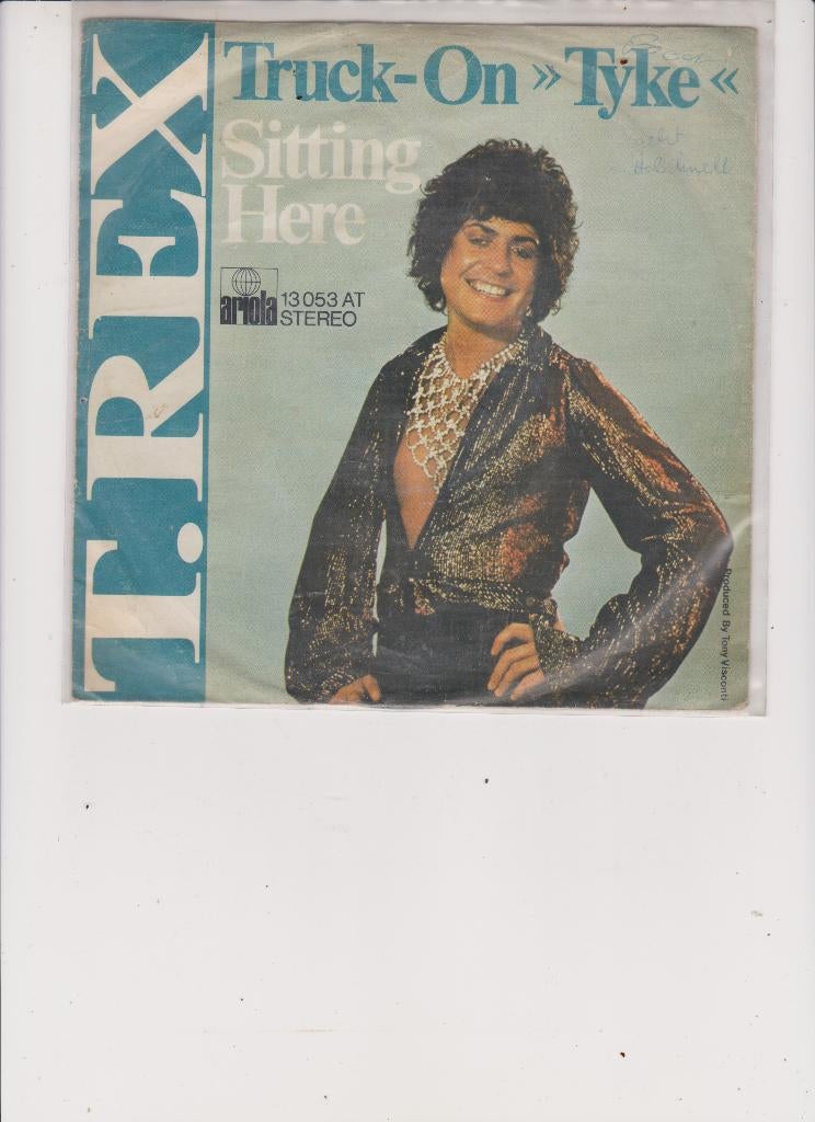 t.rex, Ophalen of Verzenden, Gebruikt