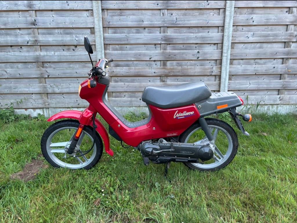 Wallaroo, Fietsen en Brommers, Brommers | Honda, Ophalen