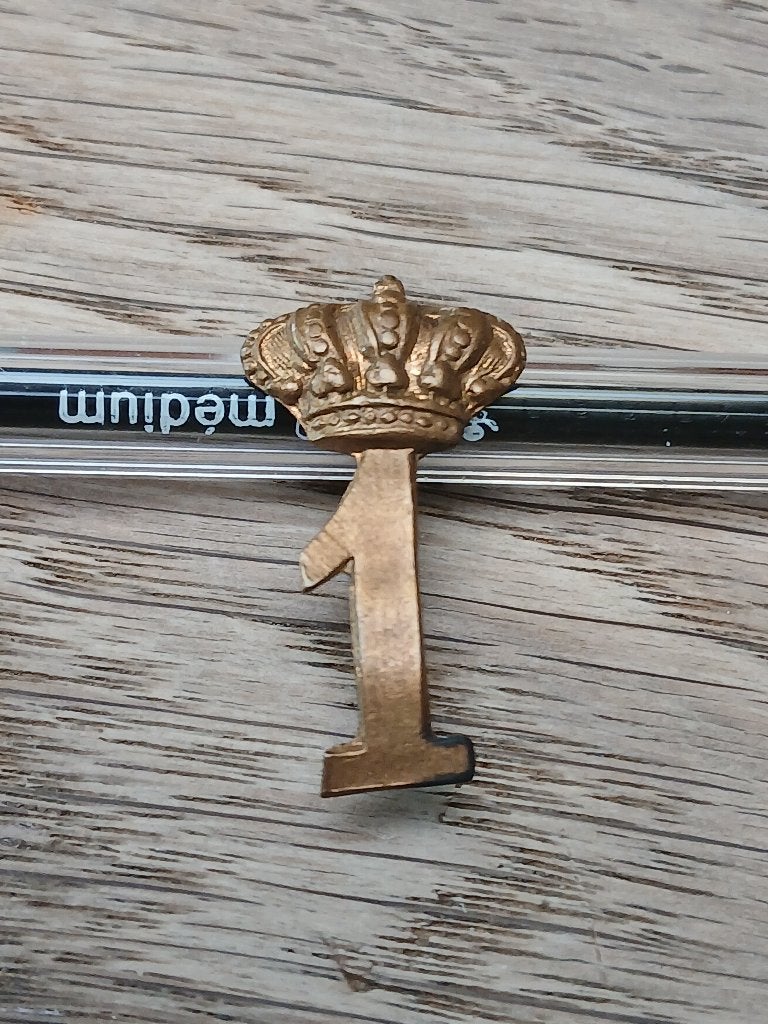 Insigne 1 regiment de guide periode 14 18, Envoi, Armée de terre, Emblème ou Badge