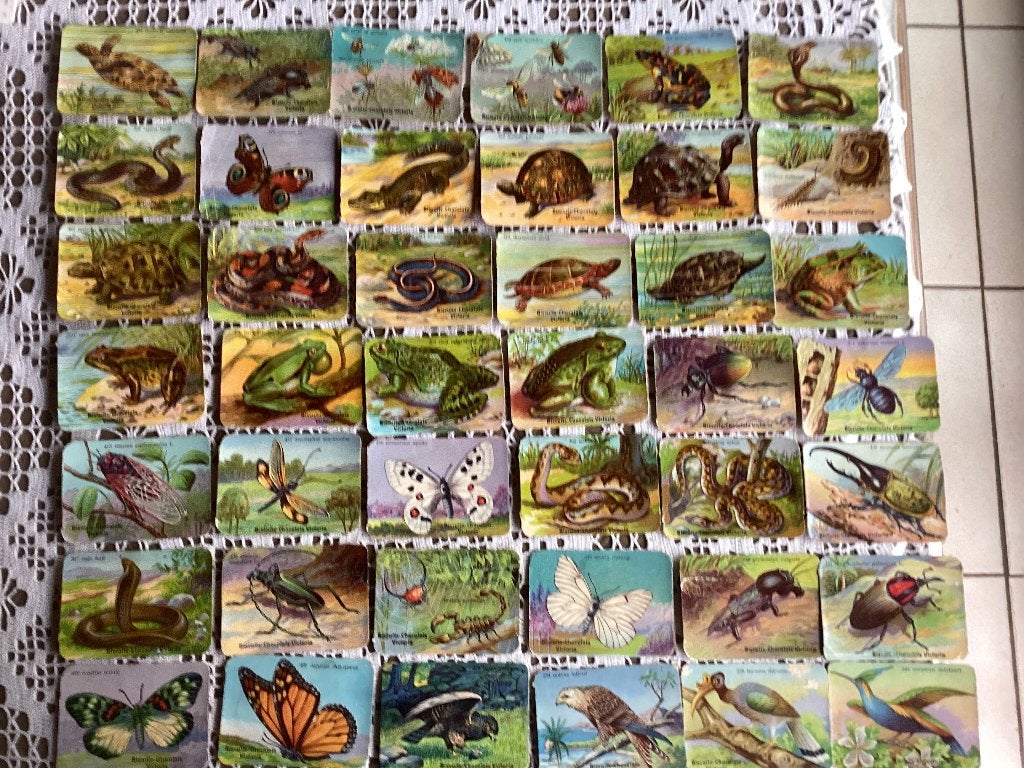 212 oude chromos prenten chocolat VICTORIA DIEREN, Collections, Enlèvement ou Envoi, Utilisé