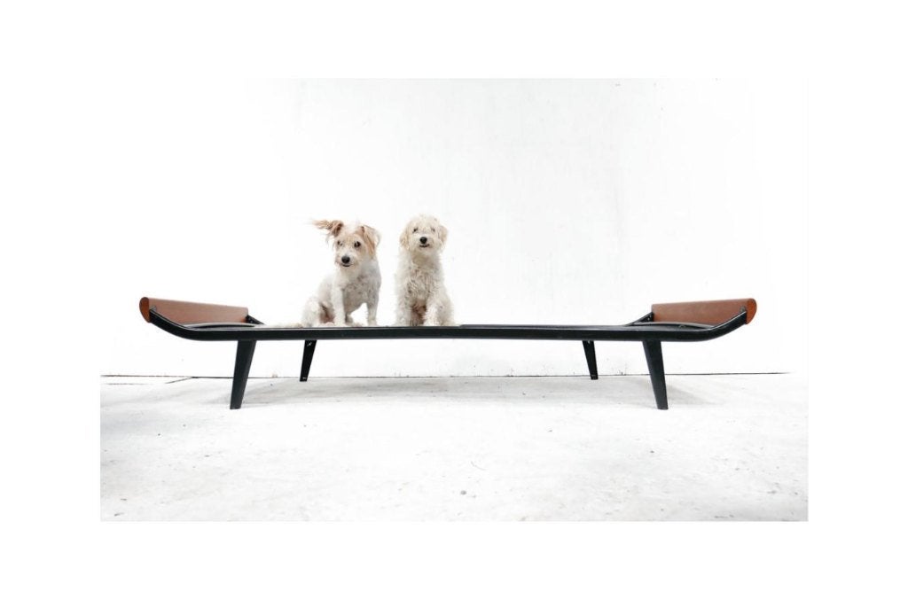 Mid-Century Modern Cleopatra Daybed Cordemeijer, Enlèvement