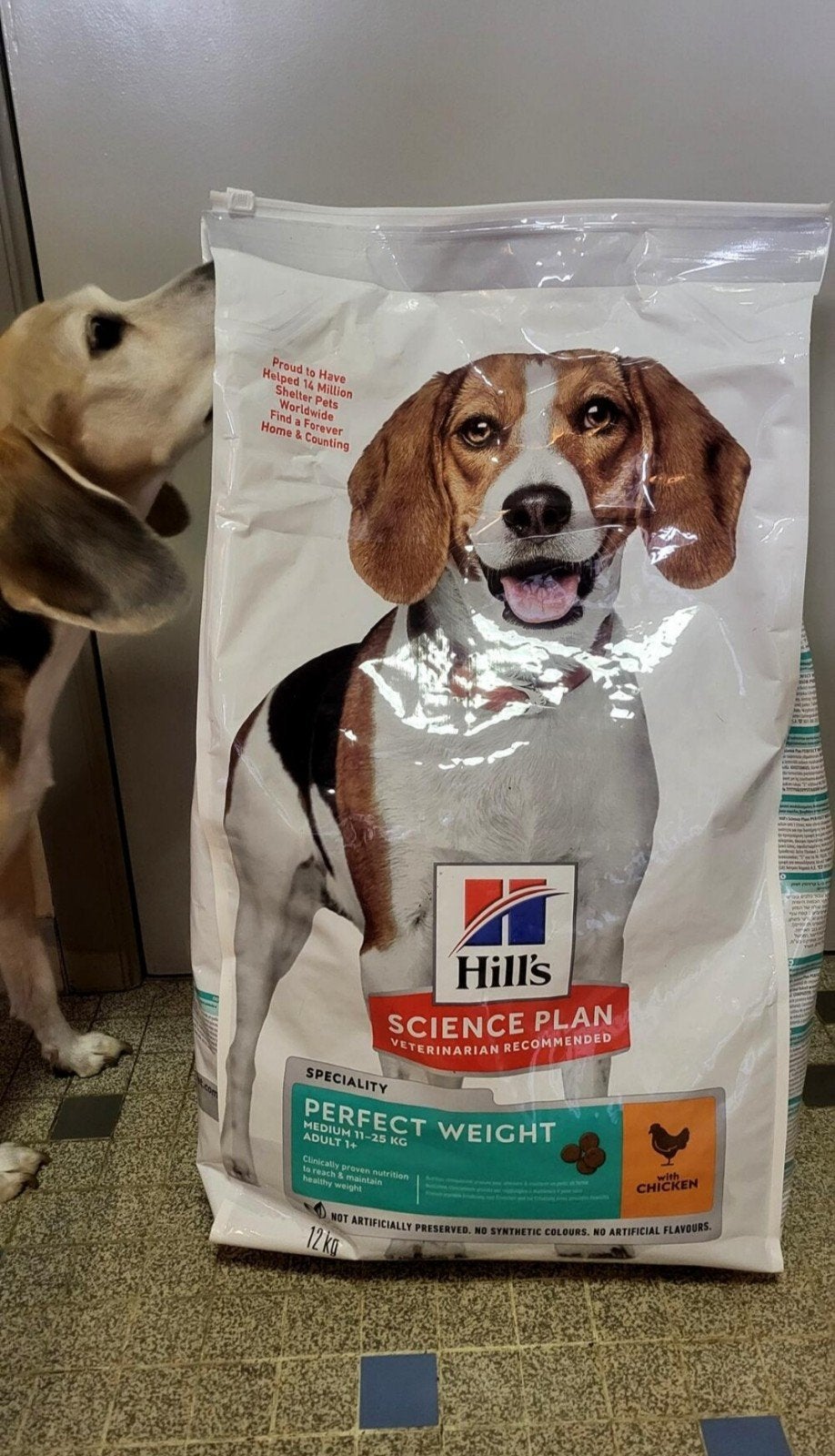 Hondenbrokken Hills, Dieren en Toebehoren, Ophalen, Hond