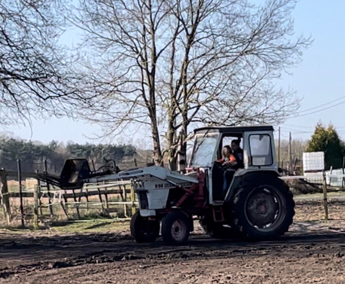 David Brown 996 avec chargeur frontal et servomoteur, Articles professionnels, Enlèvement