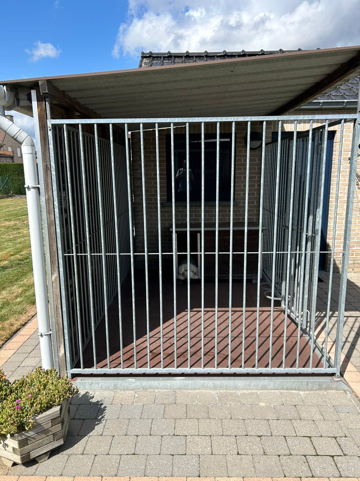 Hondenren met hok, Dieren en Toebehoren, Ophalen, Gebruikt, Hondenkennel, 100 cm of meer