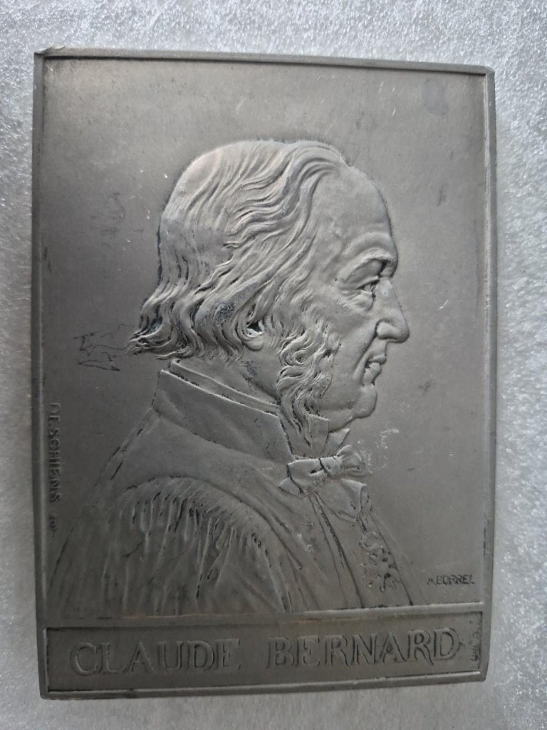 Kunstplaquette Claude Bernard – Geneeskunde & Wetenschap, Enlèvement