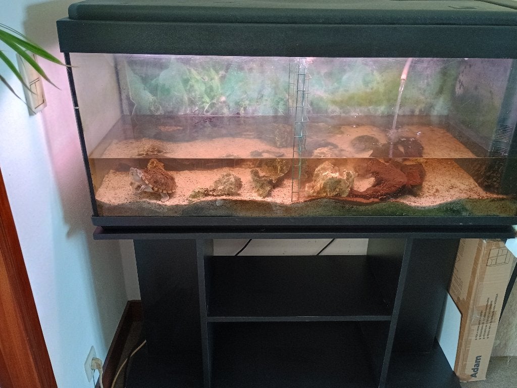 Aquarium 240L avec son meuble, Enlèvement, Utilisé