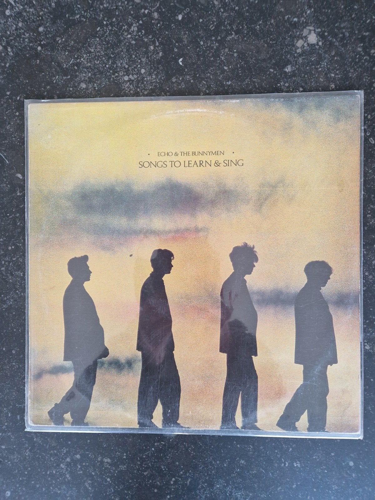 Echo&The Bunnymen LP Vinyl., Ophalen, LP