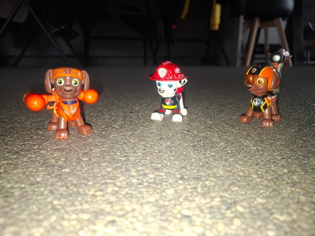 3 losse pups, Ophalen