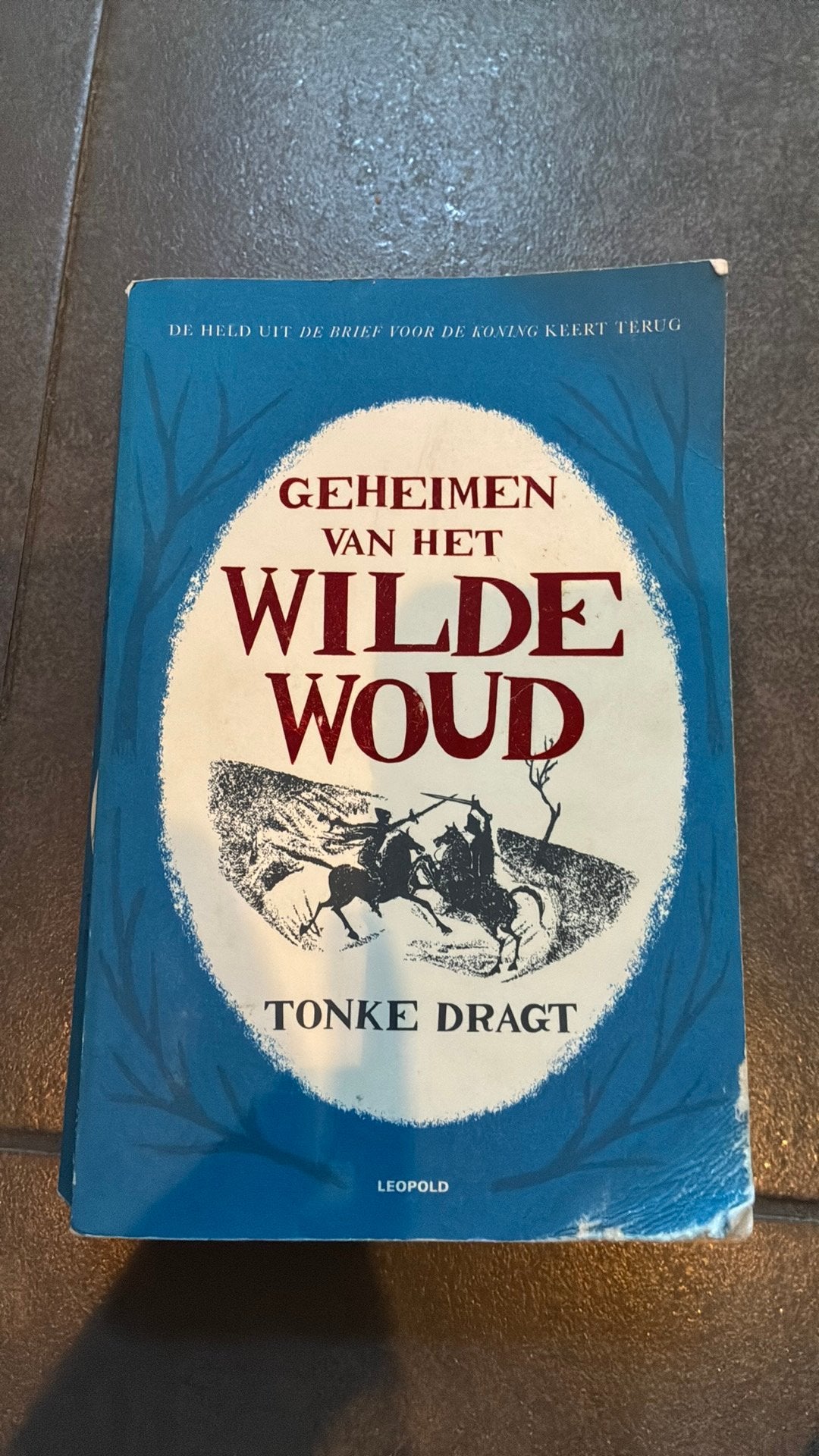 Tonke Dragt - Geheimen van het Wilde Woud, Ophalen of Verzenden, Tonke Dragt
