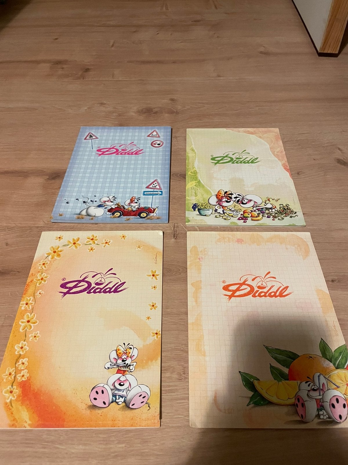 Diddl blaadjes, Enlèvement, Diddl, Comme neuf