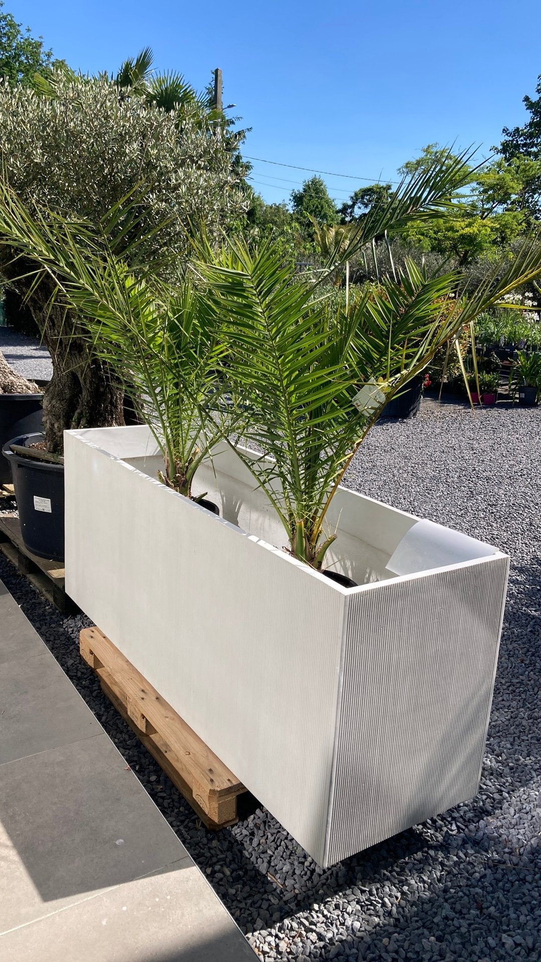 Zeer sterke plantenbak, Tuin en Terras, Ophalen, Nieuw